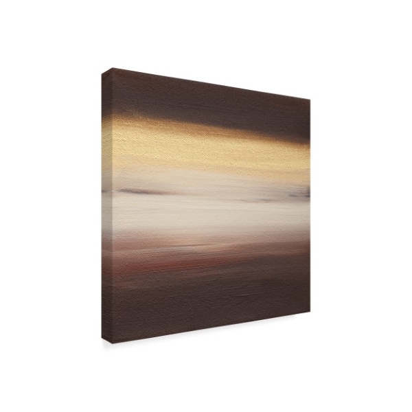 Hilary Winfield 'Ten Sunsets Brown White' Canvas Art,24x24